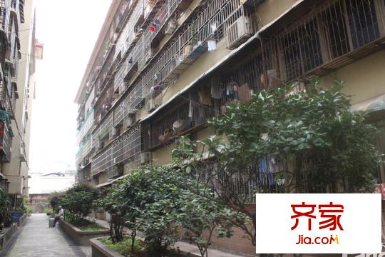 鳳凰商貿(mào)城外景圖