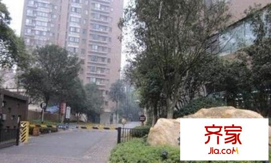 城市森林