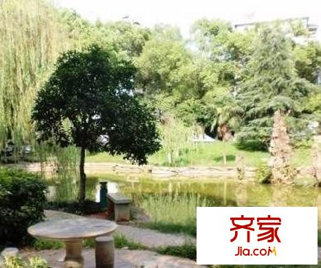 城市森林外景圖