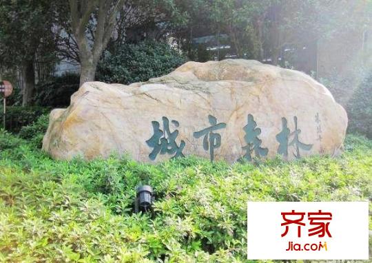 城市森林外景圖