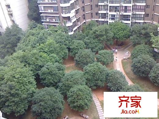 城市森林外景圖