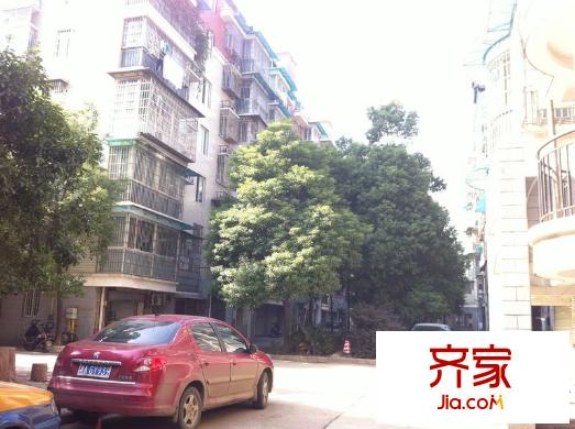 錦繡中星外景圖 