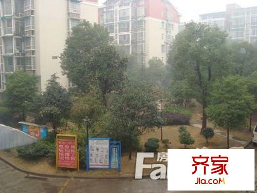 錦繡中星外景圖