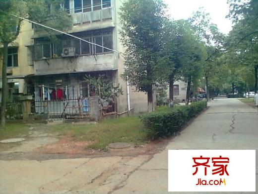 中南家園外景圖 