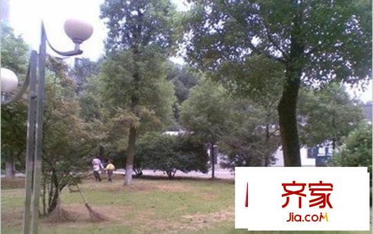 中南家園