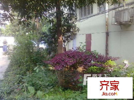 獅子山社區(qū)外景圖