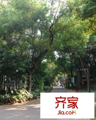 城市森林外景圖