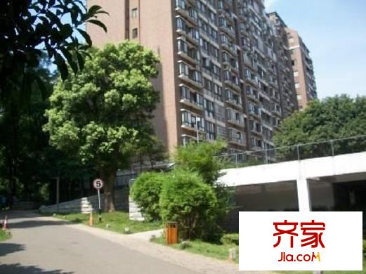 城市森林外景圖