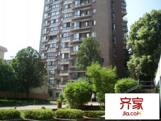 城市森林外景圖