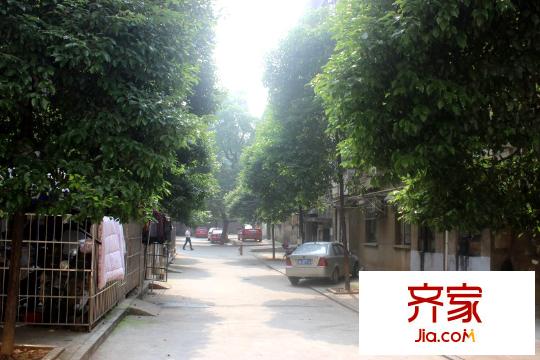 妹子山外景圖