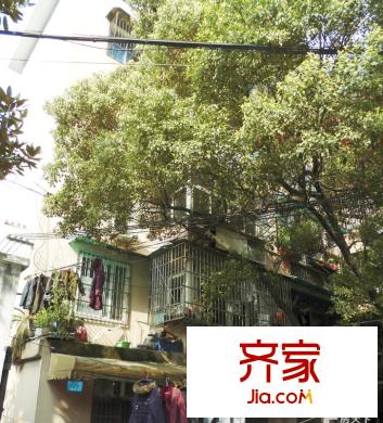公交新村宿舍外景圖