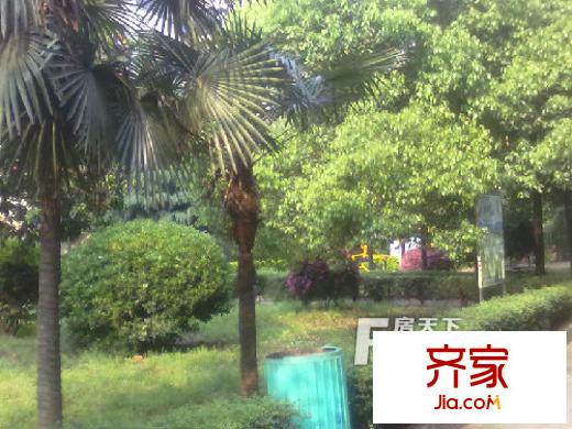 獅子山社區(qū)外景圖