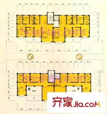 新點(diǎn)苑戶型圖E、F戶型平面圖 