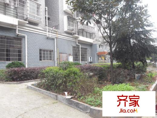 天倫公寓外景圖