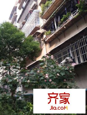 長沙二十一中宿舍外景圖