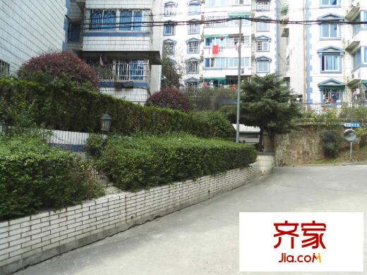 泰時(shí)花園外景圖cimg0725