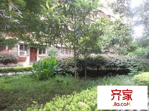 錦泰家園外景圖