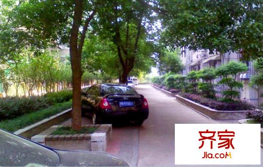 信和苑外景圖
