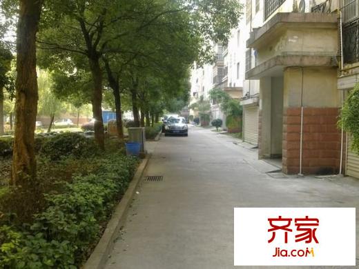 新點苑外景圖