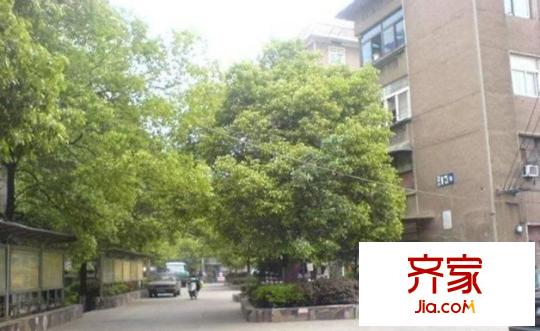 獅子山一片外景圖