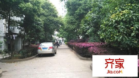 都市先鋒外景圖