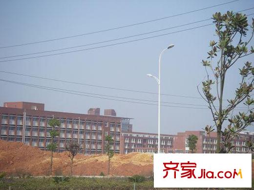 格瀾郡周邊大學(xué)