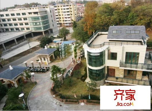 獅子山一片外景圖