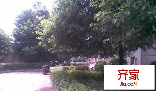 獅子山一片外景圖