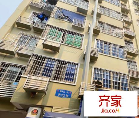 獅子山一片外景圖