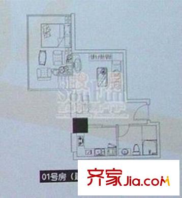 自由.COM戶型圖1001號房 1室1廳1衛(wèi)1廚