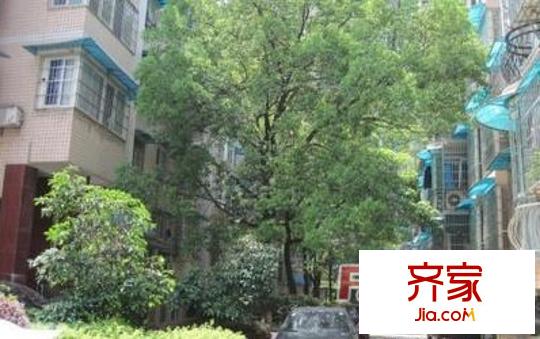 阿彌嶺社區(qū)外景圖