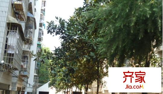 富綠山莊外景圖