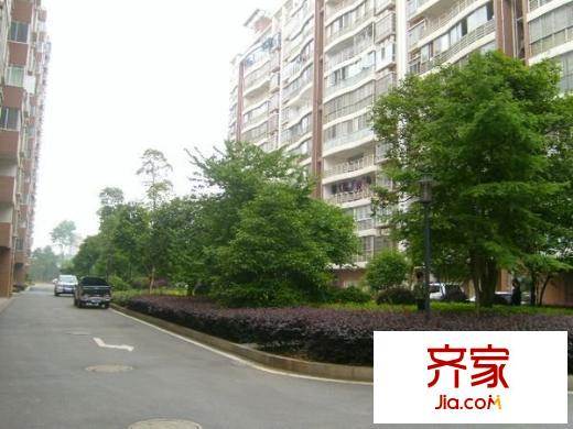 湘林小區(qū)外景圖