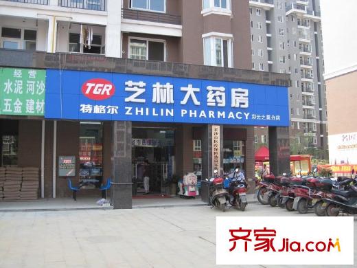 泰禹彩云之翼配套圖周邊芝林大藥房