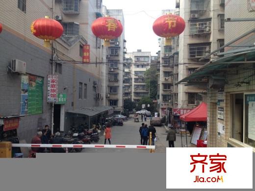 金泰小區(qū)外景圖