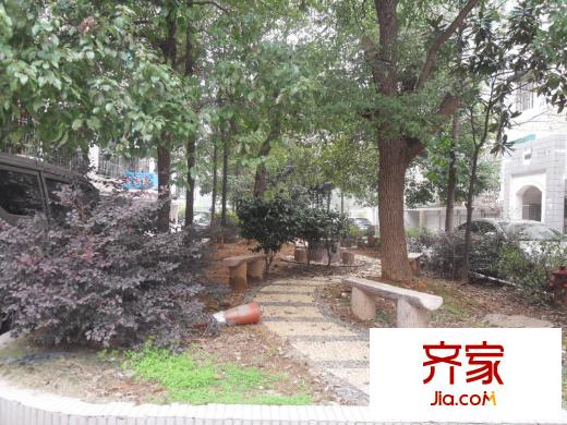 中星苑外景圖