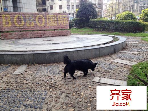 BOBO國際外景圖