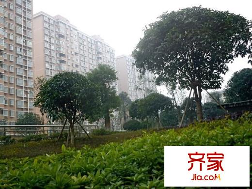 湘林小區(qū)外景圖