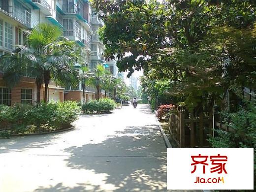 金帆小區(qū)外景圖