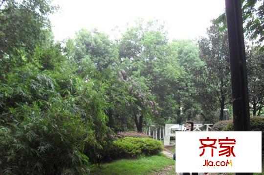 翡翠林居外景圖