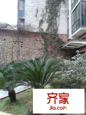仁和香堤雅境外景圖 