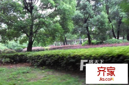 翡翠林居外景圖
