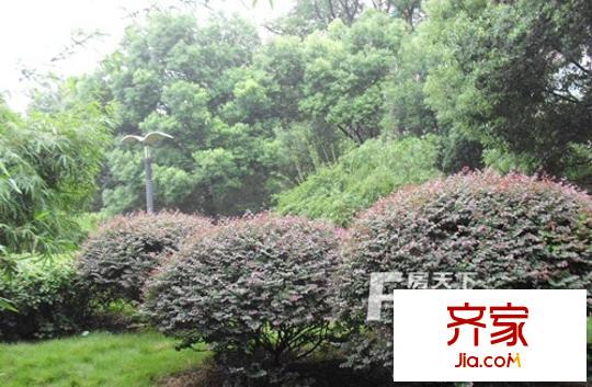 翡翠林居外景圖