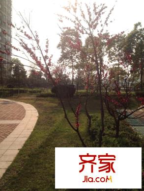 歸心苑外景圖