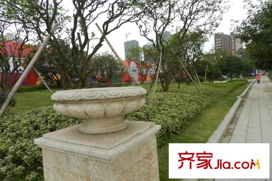 恒大江灣周邊綠化帶