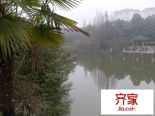 山水芙蓉國際新城別墅外景圖