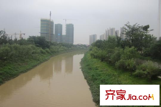 梅溪湖金茂悅周邊綠化