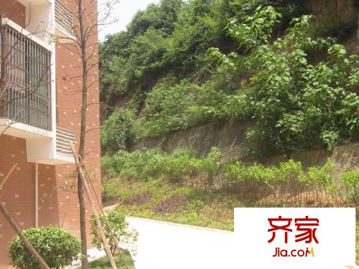 麗都桃源項目東側(cè)緊鄰的山體小路（2011.5.20）