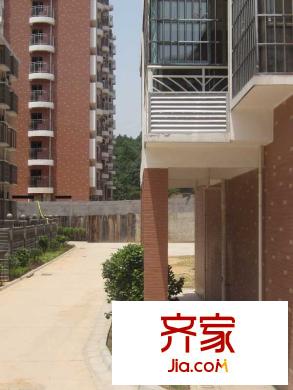 麗都桃源4號棟東側(cè)小路（2011.5.20）