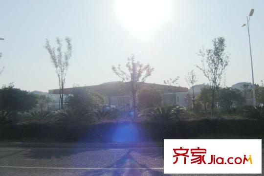 松雅湖金岸周邊道路